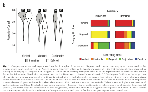 Screen Shot 2019-07-31 at 1.14.54 PM